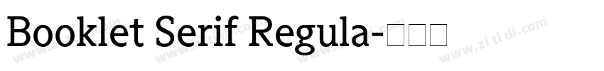 Booklet Serif Regula字体转换